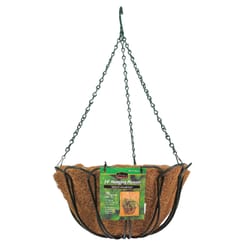 Panacea 14 in. D Steel Hanging Basket Green
