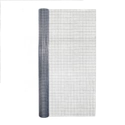 Galvanized /Stainless Steel Wire Mesh/Mild Steel Cloth for