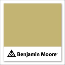 Benjamin Moore Meadow View 383