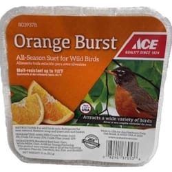 Ace Orange Burst Assorted Species Beef Suet 11 oz