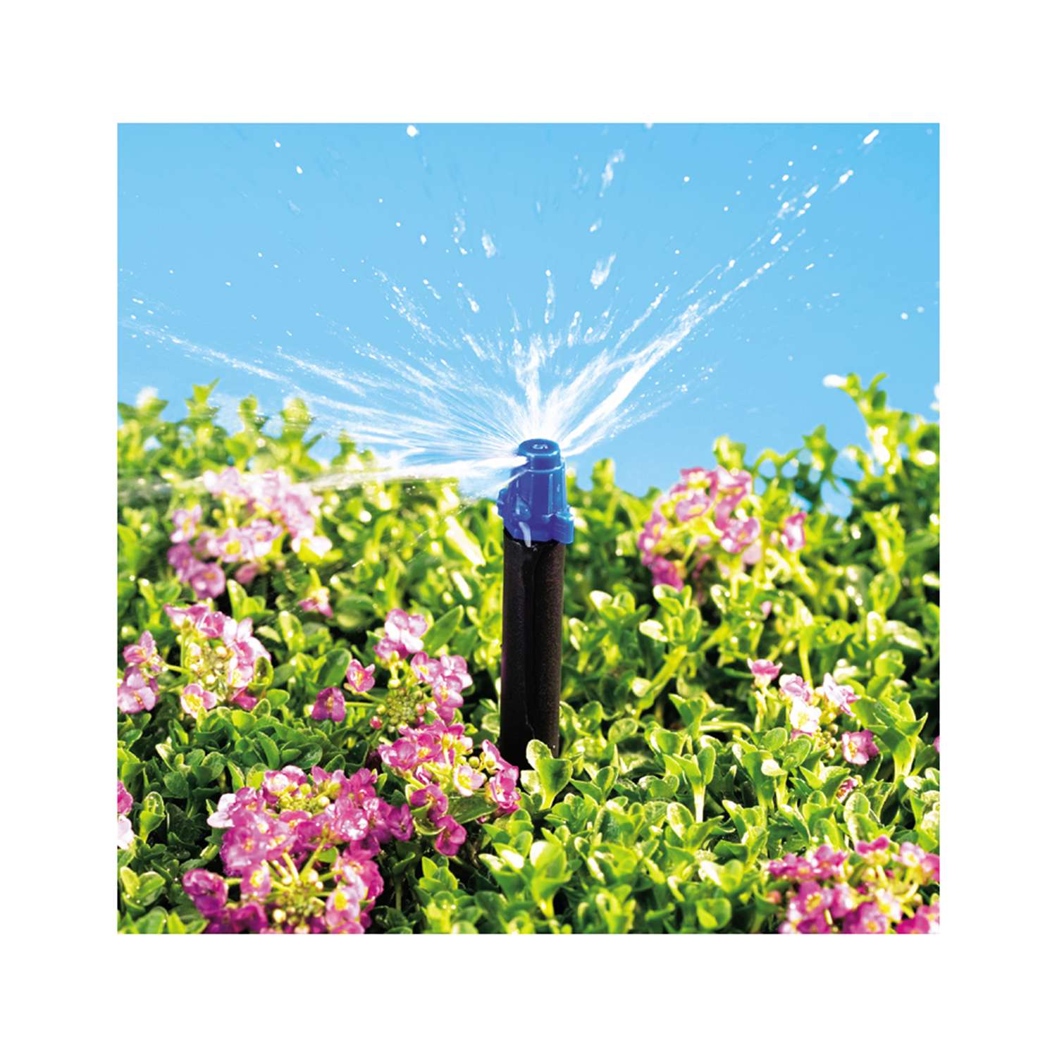 Raindrip Drip Irrigation Micro Spray Ace Hardware