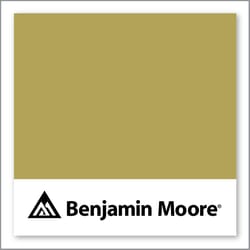 Benjamin Moore Turning Leaf 384