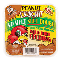 C&S Products Peanut Delight Assorted Species Beef Suet Wild Bird Food 11.75 oz