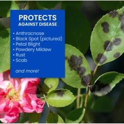 BioAdvanced 3-in-1 Insect, Disease & Mite Control Liquid 32 oz
