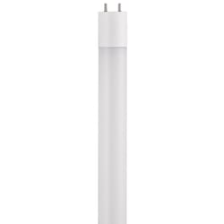 Westinghouse Linear Cool White 48 in. G13 (Medium Bi-Pin) T8 LED Light Bulb 1 pk