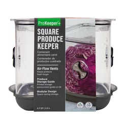 Progressive ProKeeper+ 3.7 qt Clear Produce Keeper 1 pk