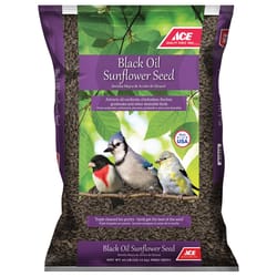 Ace Songbird Black Oil Sunflower Seed Wild Bird Food 40 lb