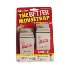 Intruder The Better Mousetrap & The Better Gluetrap Cold Temperature Small Trap