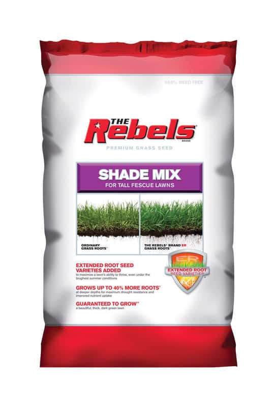 Pennington Seed The Rebels Tall Fescue Shade Grass Seed 20 lb. Ace