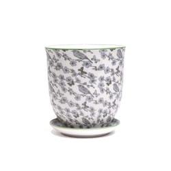 Chive Liberte 4.25 in. D Ceramic Flower Pot Blue Flowers