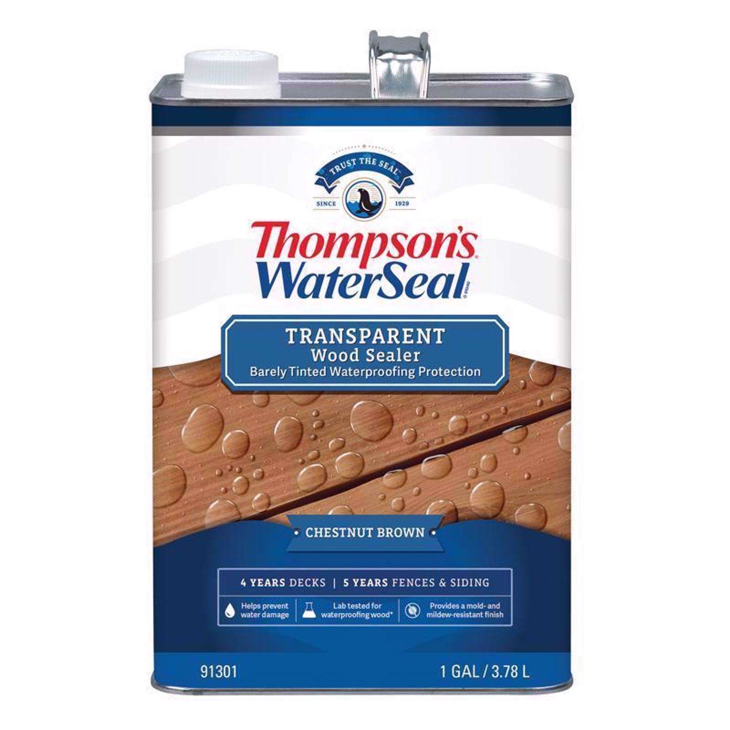 Thompson's WaterSeal Semi-Transparent Chestnut Brown Waterproofing