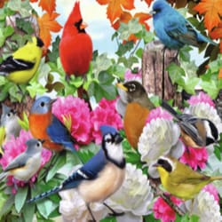 Ravensburger Garden Birds Puzzle Multicolored 500 pc