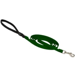 LupinePet Basic Solids Green Green Nylon Dog Leash