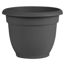 Bloem Ariana 8.5 in. H X 11 in. W X 10 in. D Plastic Ariana Planter Charcoal