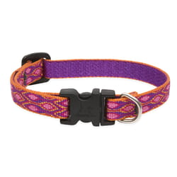 Lupine Pet Original Designs Multicolor Alpen Glow Nylon Dog Adjustable Collar