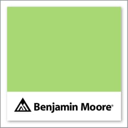 Benjamin Moore Spring Meadow Green 2031-40