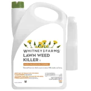 Whitney Farms  Ready-To-Use  RTU Liquid  Organic Weed Killer  1 gal. 