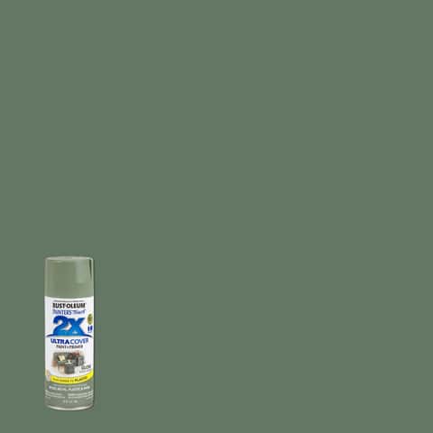 Rust-Oleum Painter's Touch 2X Ultra Cover Matte Clear Paint+Primer Spray  Paint 12 oz - Ace Hardware