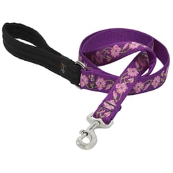 Lupine Pet Original Designs Multicolor Rose Garden Nylon Dog Leash