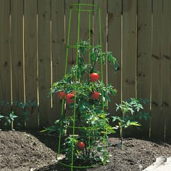 Panacea Inverted 42 in. H X 16 in. W Green Steel Tomato Cage