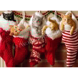 Avanti Christmas Stockings With Kittens Greeting Card Paper 4 pc