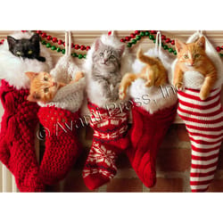 Avanti Christmas Stockings With Kittens Greeting Card Paper 4 pc