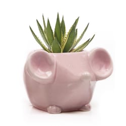 Chive Animal Planter 2.75 in. H X 5 in. D Ceramic Mouse Succulent Pot Pink