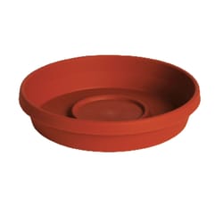 Bloem TerraTray 1.5 in. H X 8 in. D Resin Traditional Plant Saucer Terracotta Clay