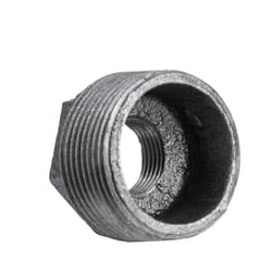 STZ Industries 1-1/4 in. MIP each X 1/2 in. D FIP Black Malleable Iron Hex Bushing