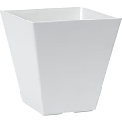 Novelty Artstone 8 in. H X 7.8 in. W X 7.8 in. D Resin Ella Planter White