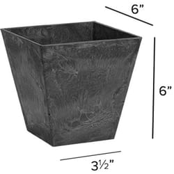 Novelty ArtStone 6 in. H X 5.9 in. W X 5.9 in. D Resin Ella Planter Black