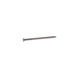 Grip-Rite 8D 2-1/2 in. Common Bright Steel Nail Round Head 50 lb