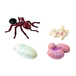 Insect Lore Ants Life Cycle Figurines Multicolored 4 pc