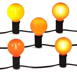 Celebrations Orange 25 ct LED String Lights