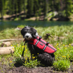 ZippyPaws Red Dog Safety Vest Extra Large