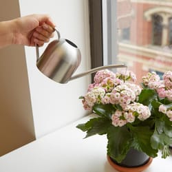 Kikkerland Steel Watering Can Silver