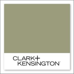 Clark+Kensington Dark Pine 2038