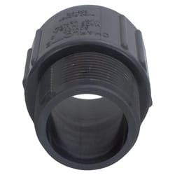 Charlotte Pipe 1-1/2 in. Slip X 1-1/2 in. D MPT PVC Adapter 1 pk