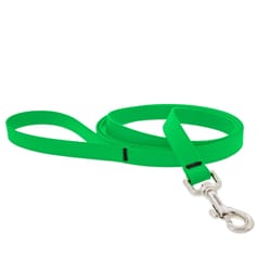 LupinePet Splash Neon Green BioThane Dog Leash Medium