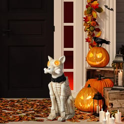 Glitzhome Warm White 2 ct 21 in. LED Skeleton Dog Halloween Decor