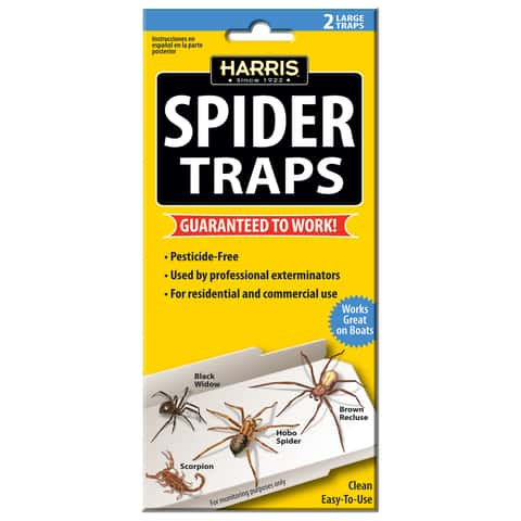 10 Pcs Super Sticky Boards Glue Traps Pest Trap Catch Spiders