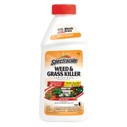 Spectracide Weed and Grass Killer Concentrate 16 oz