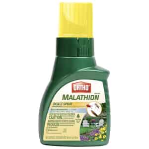 Ortho  Max Malathion  Insect Killer  16 oz. 