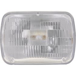Philips Standard Halogen High/Low Beam Automotive Bulb H6054C1