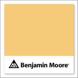 Benjamin Moore Lion Heart 306