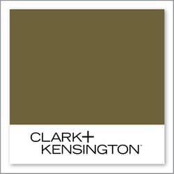 Clark+Kensington Sun Cactus 24B-7