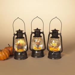 Gerson 8 in. Lighted Harvest Water Globe Lantern