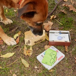 Kikkerland Dog Pet Care Kit