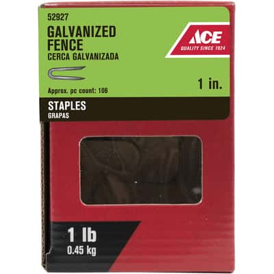 Ace 1 in. L Galvanized Steel Fence Staples 1 lb - Ace Hardware