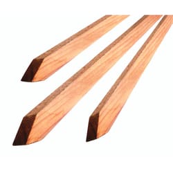 Bond 96 in. H X 1.5 in. W X 1.5 in. D Red Wood Tree Stakes